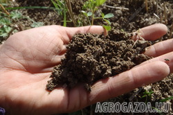 Tavaszi talajelemzés, talajvizsgálat!